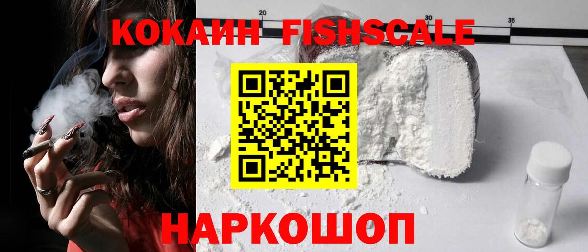 COCAIN Fish Scale  Вход с VPN  COCAIN Перу  Елабуга 