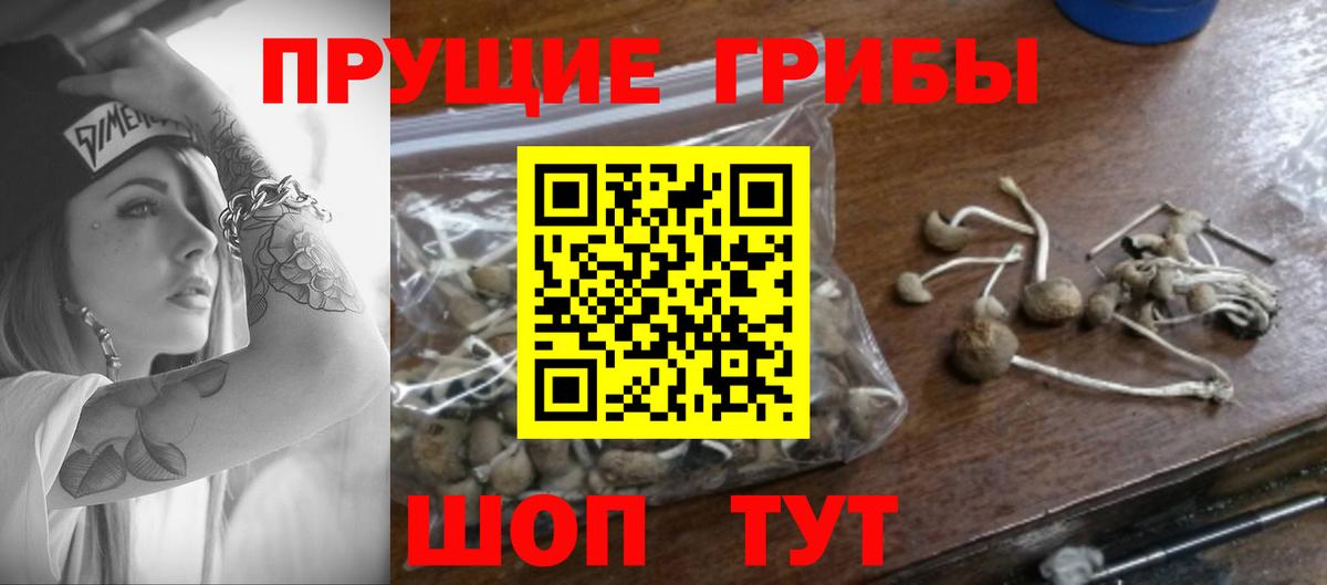 Псилоцибиновые грибы мицелий  Вход с VPN  Елабуга 